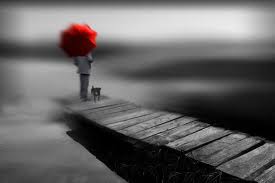 Con i piedi per terra…in libertà...